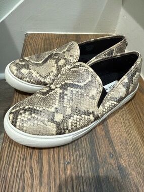 Steve Madden Snakeprint sneaks